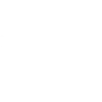 Nominee - Beyond the Curve International Film Festival