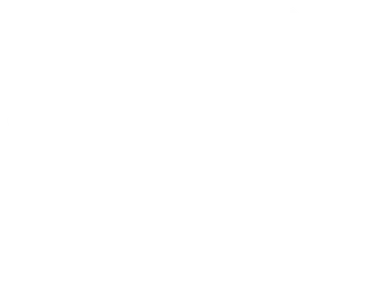 OFFICIAL SELECTION: Montreal Independent Film Festival